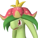 Dinossom