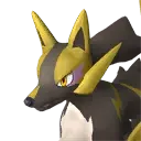 Rayhound